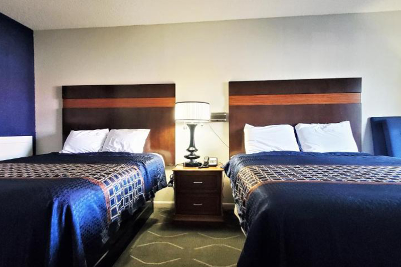 Studio Suite, 2 Double Beds